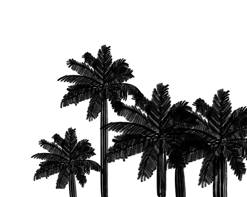 Dolores Palms