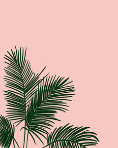 Fronds In Low Places - Pink