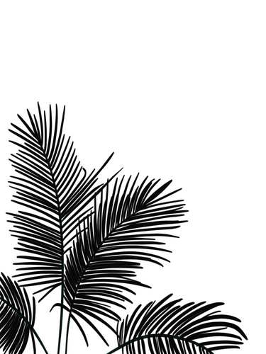 Fronds In Low Places - BW