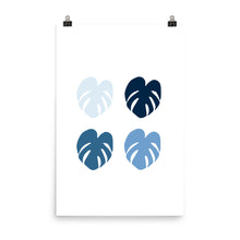 Monstera Blues - Large