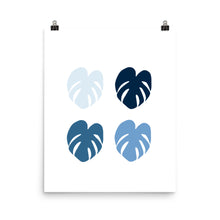 Monstera Blues - Large