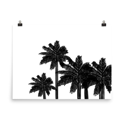 Dolores Palms - Large