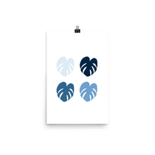 Monstera Blues - Large