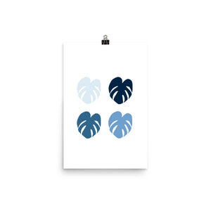 Monstera Blues - Large