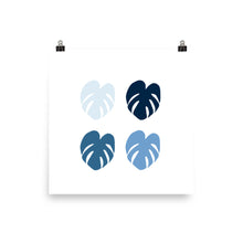 Monstera Blues - Large