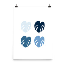Monstera Blues - Large