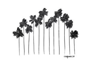 Palm Family Reunion