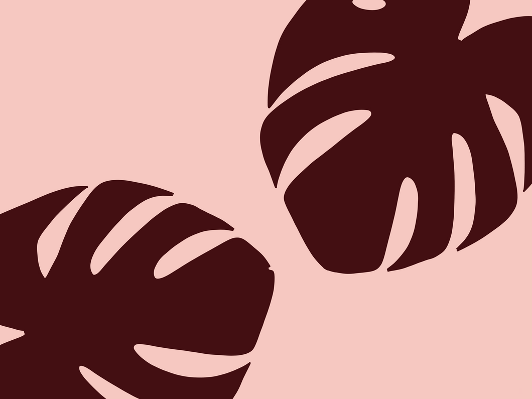 Double Monstera